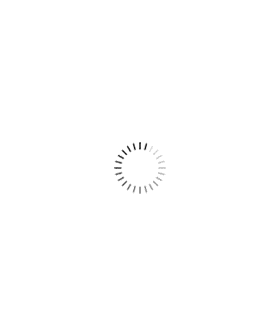 northwind34__nomadwheels1